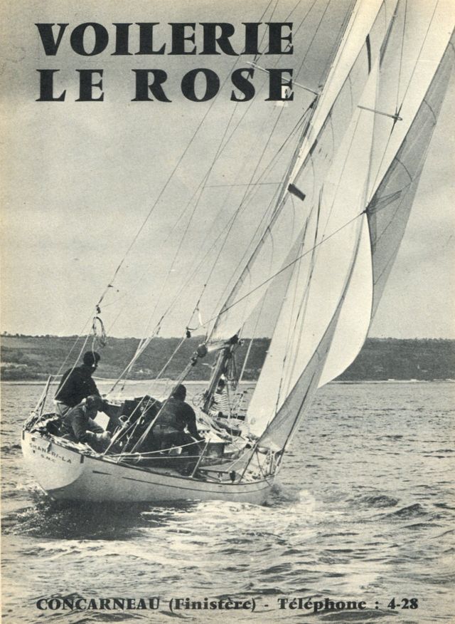 Le_rose_2.jpg